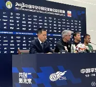 包含独行侠战术执行需更统一的词条